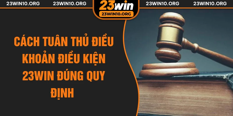 Cách tuân thủ điều khoản điều kiện 23win đúng quy định
