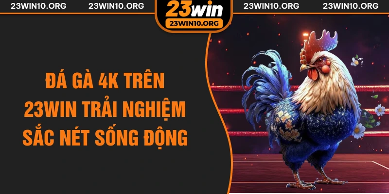 Đá gà 4k trên 23win trải nghiệm sắc nét sống động