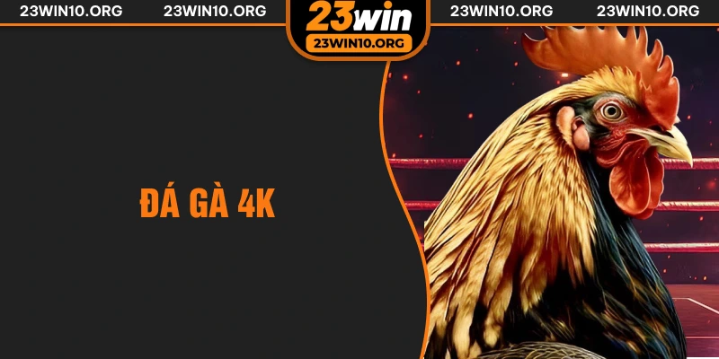 đá gà 4k