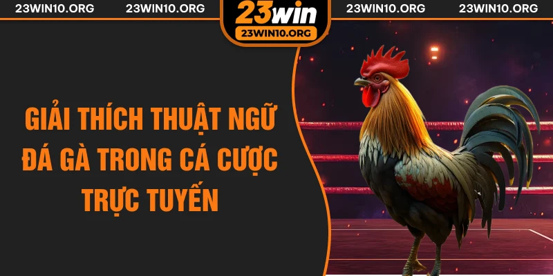 Giải thích thuật ngữ đá gà trong cá cược trực tuyến