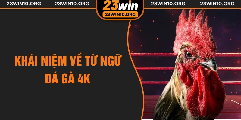 Khái niệm về từ ngữ đá gà 4k