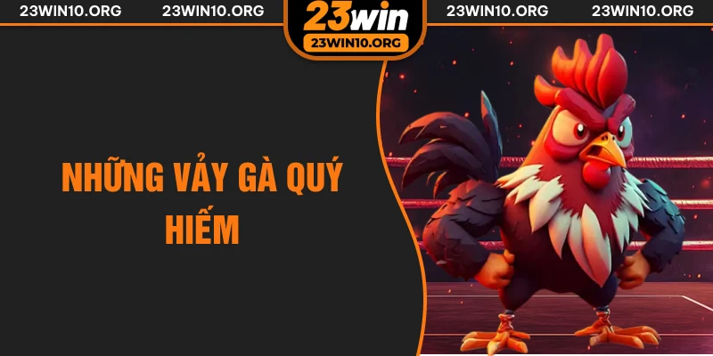những vảy gà quý hiếm