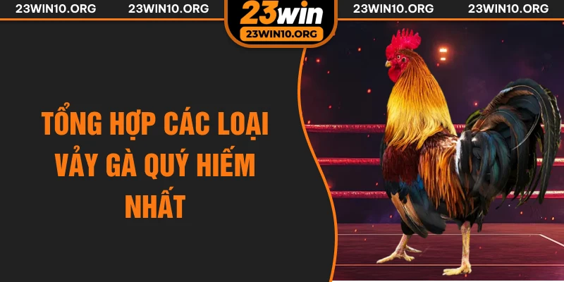 Tổng hợp các loại vảy gà quý hiếm nhất