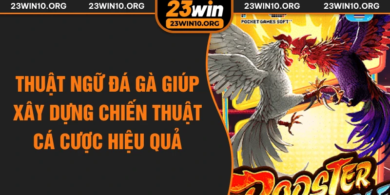 Thuật ngữ đá gà giúp xây dựng chiến thuật cá cược hiệu quả