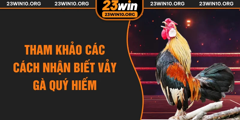 Tham khảo các cách nhận biết vảy gà quý hiếm