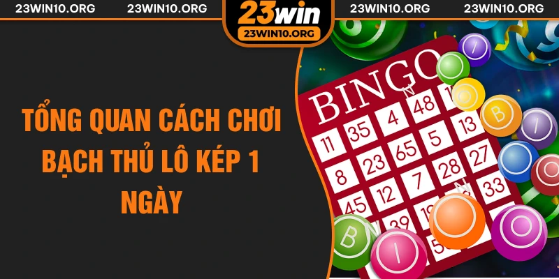 Tổng quan cách chơi bạch thủ lô kép 1 ngày