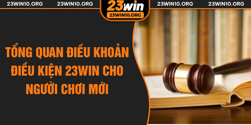 Tổng quan điều khoản điều kiện 23win cho người chơi mới