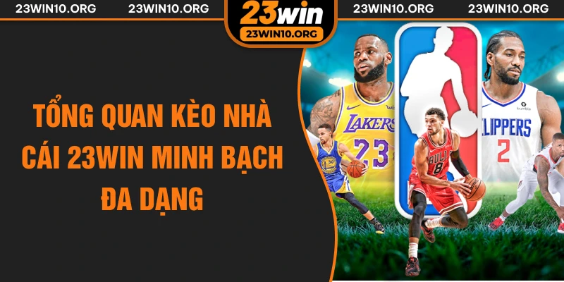 Tổng quan kèo nhà cái 23win minh bạch đa dạng